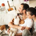 Professional Dog Movers Nigeria