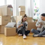 Cat Shipping Nigeria: How to Transport a Cat Safely