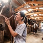 Horse Transport Nigeria: How to Move Horses Safely