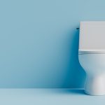 How to Start a Profitable Toilet Franchise in Nigeria