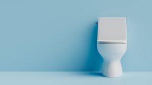 How to Start a Profitable Toilet Franchise in Nigeria