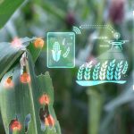 Agritech Cold Chain in Nigeria for Fresh Farm Produce Delivery