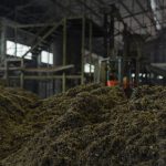 Faecal Sludge Management in Nigeria for Safer Waste Disposal